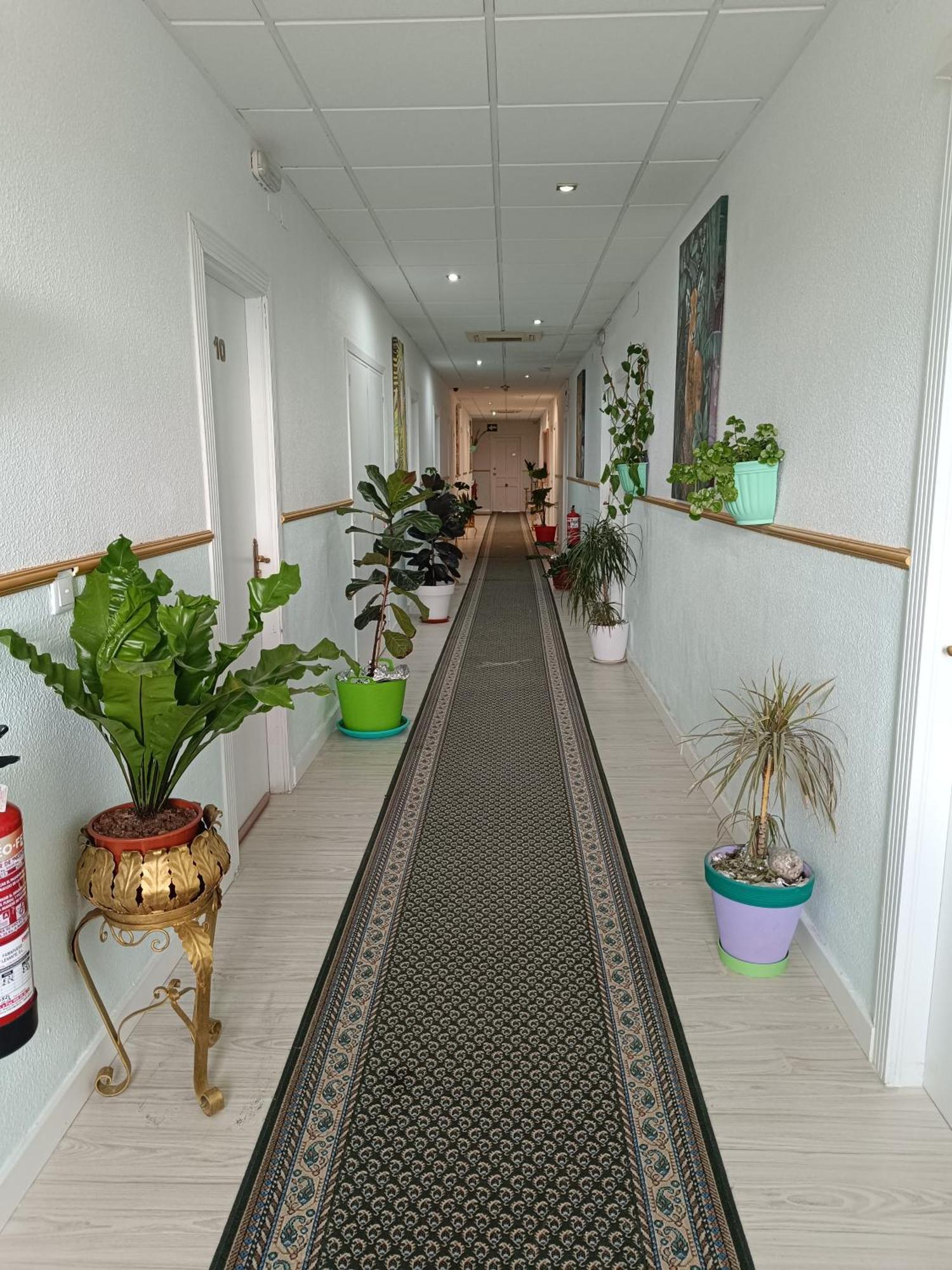 Hostal Fuente Del Pino Хумиля Екстериор снимка